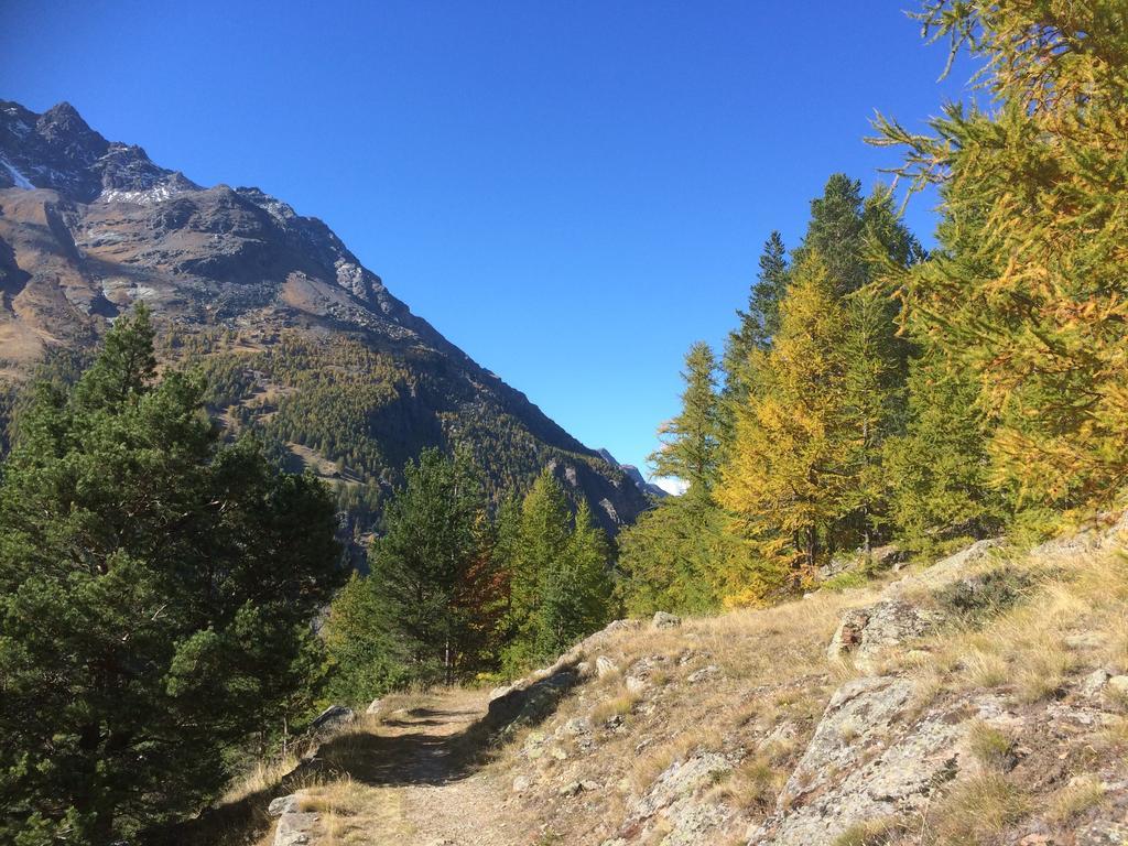 Ferienwohnung Haus Alpenstern Saas-Grund Exterior foto