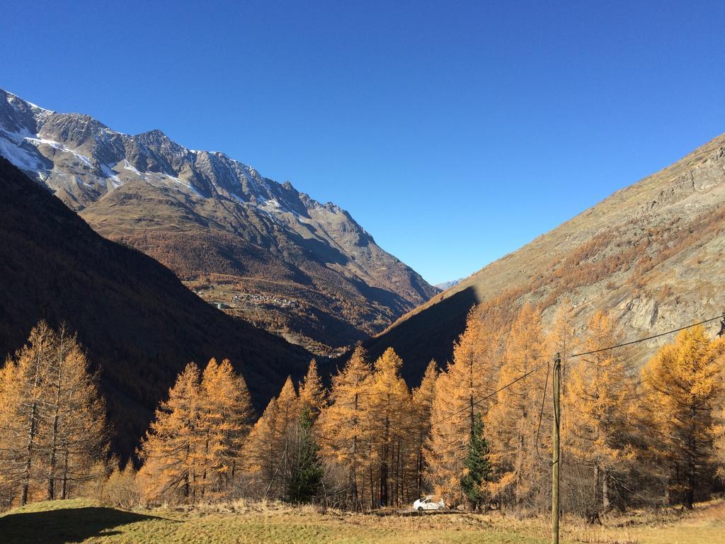 Ferienwohnung Haus Alpenstern Saas-Grund Exterior foto
