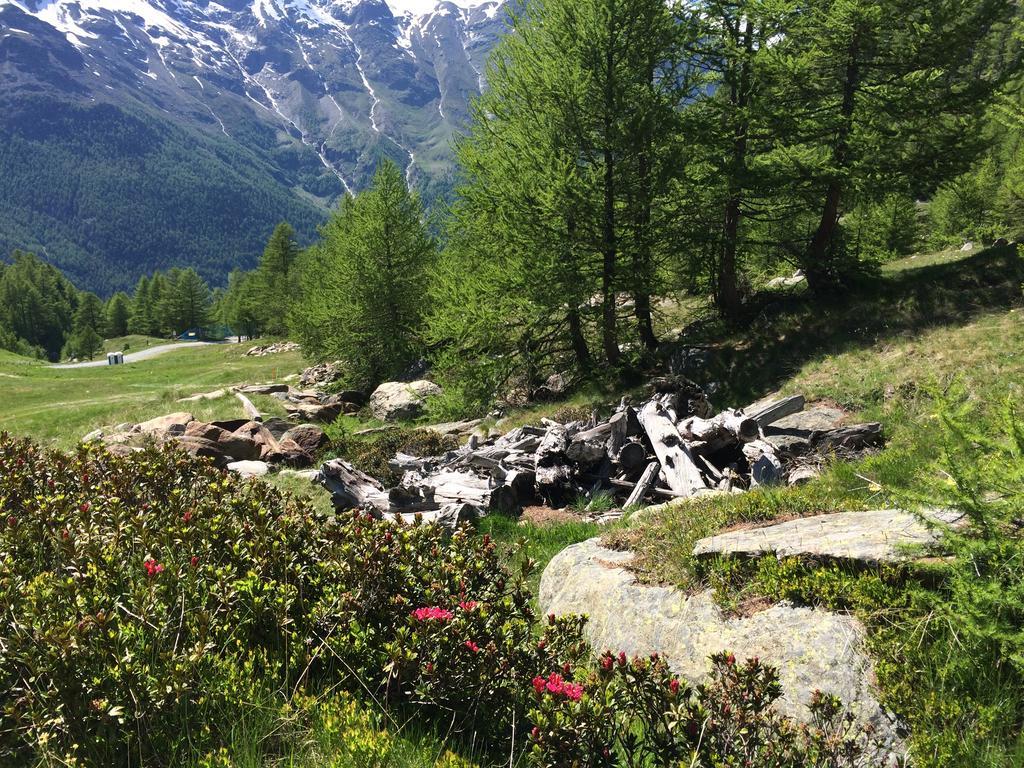 Ferienwohnung Haus Alpenstern Saas-Grund Exterior foto